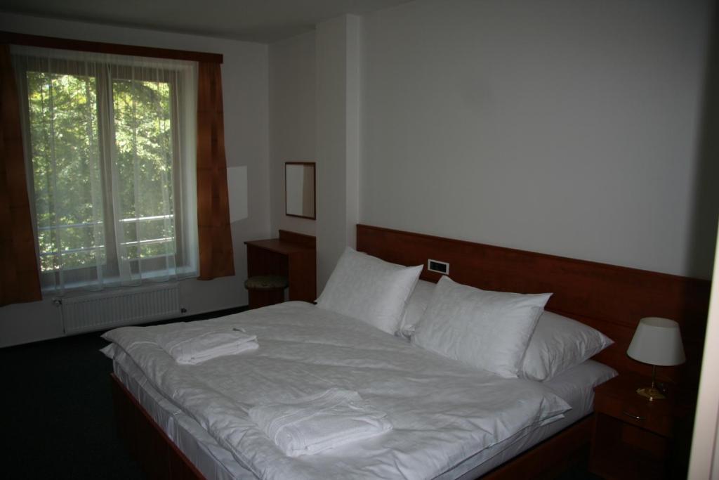 Lazensky Hotel Park Poděbrady Kamer foto